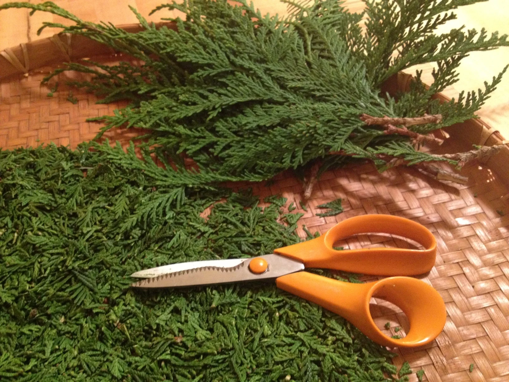 cedarcut.jpg