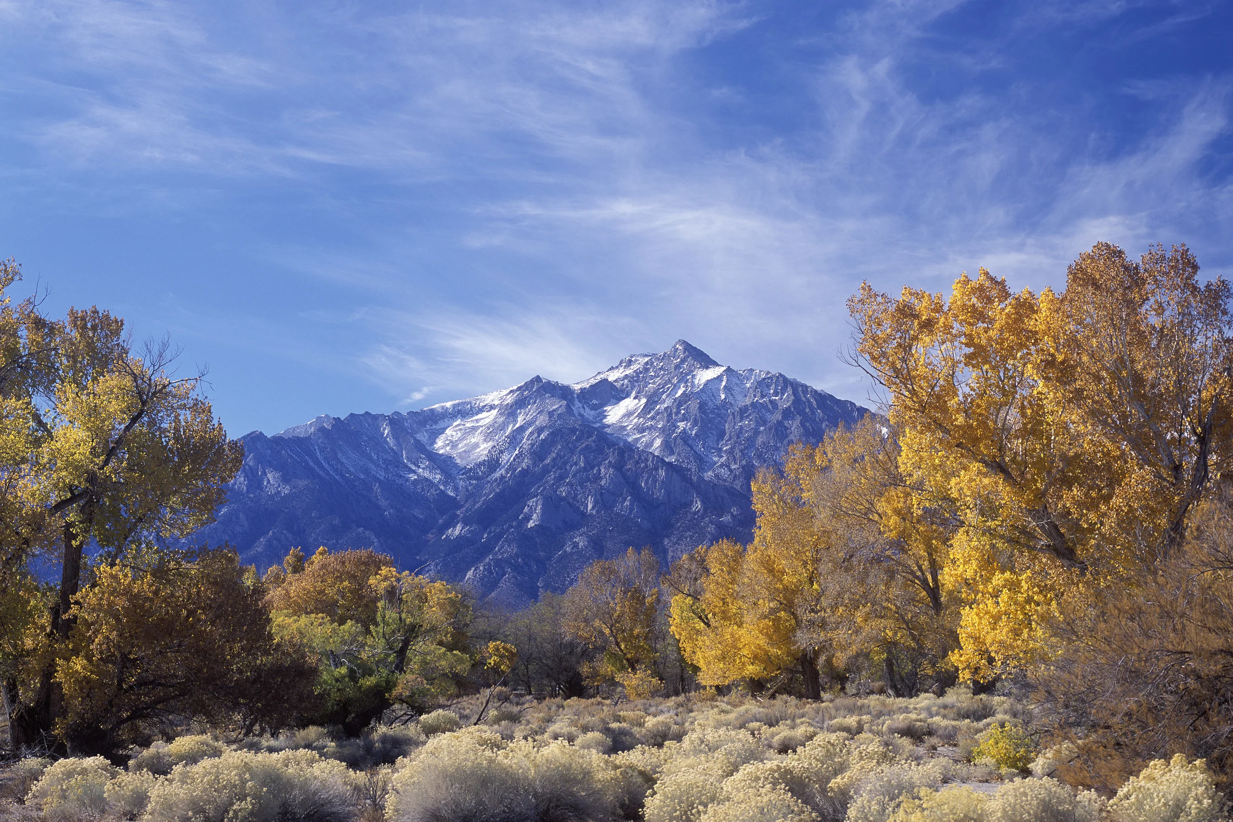 sierra_autumn.jpg