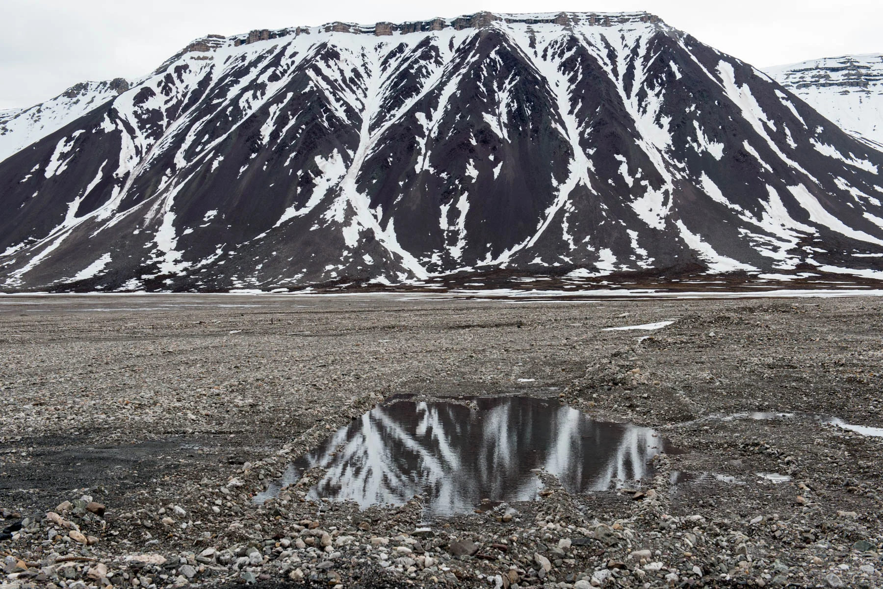 _DSC6950.jpg
