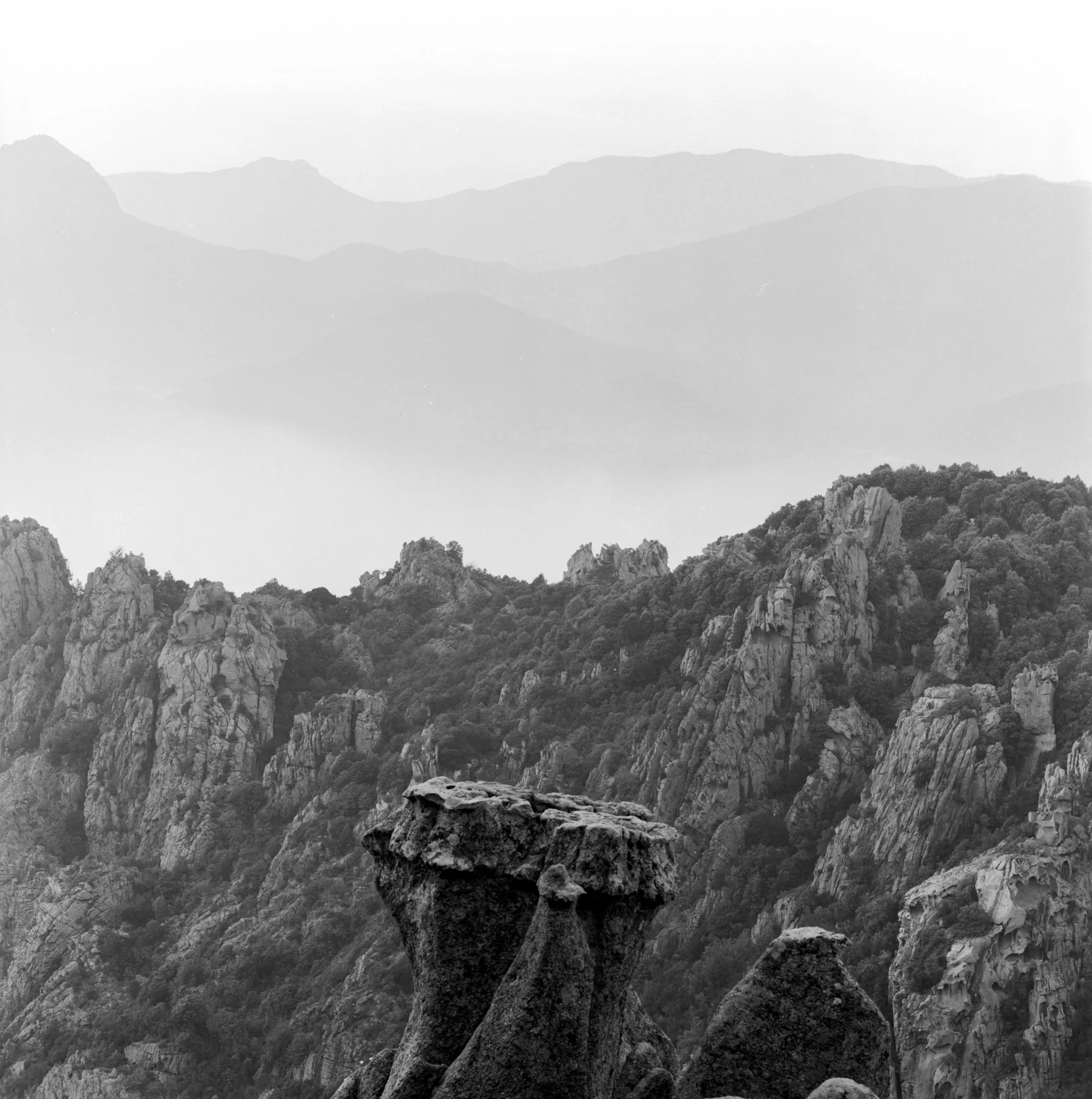 2-00857-07.jpg