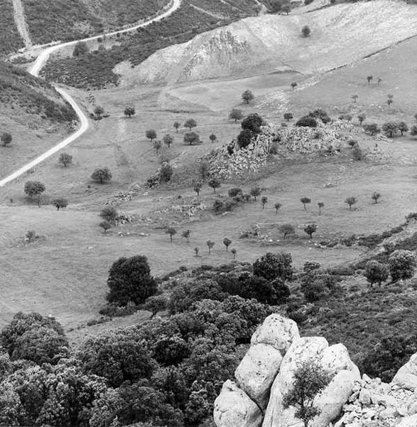 2-00288-09 copy.jpg