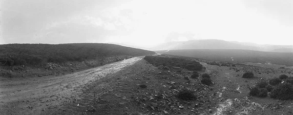1-01356-19 copy.jpg
