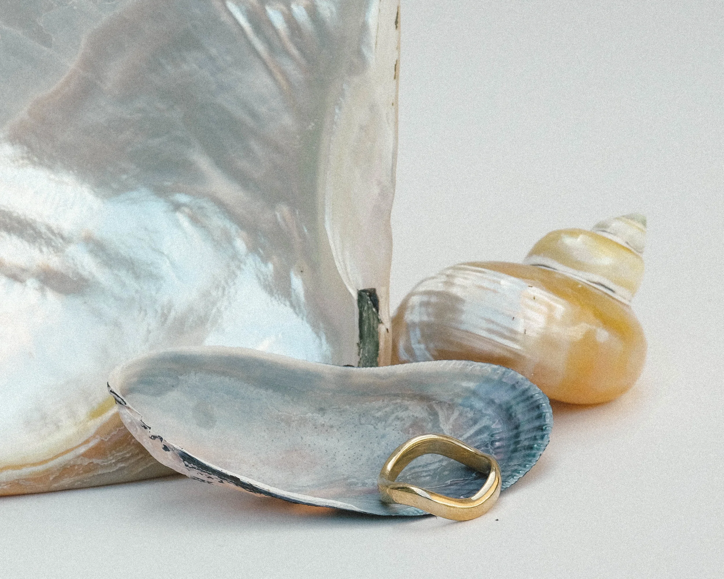 DSCF8795.jpg