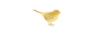 birdphotopages.jpg