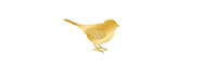 birdphotopages2.jpg