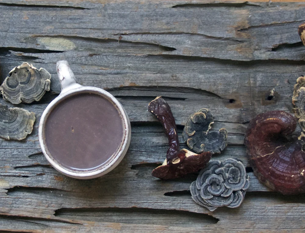 hotchoc3.jpg