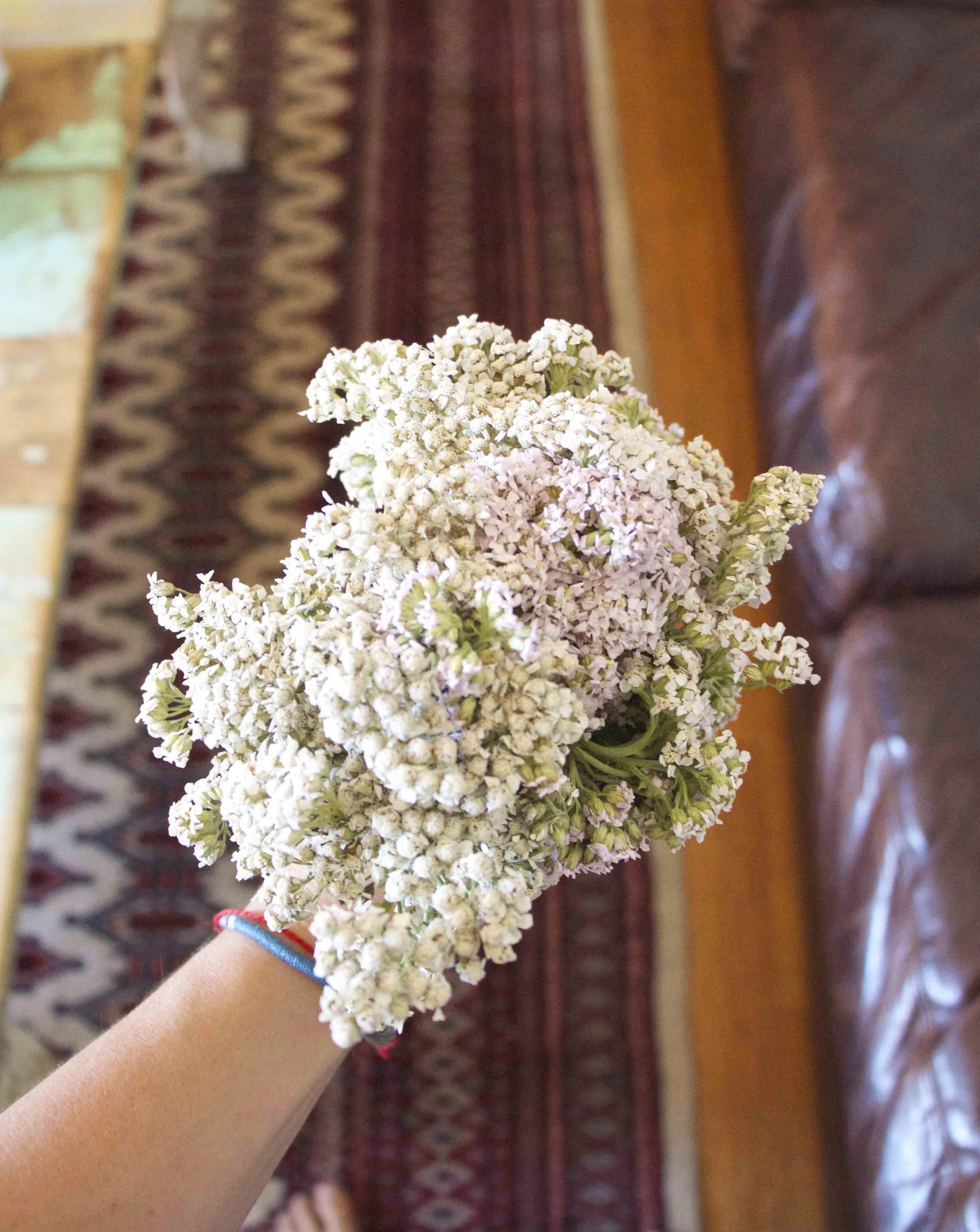 The scariest email I ever wrote (why I closed my shop)