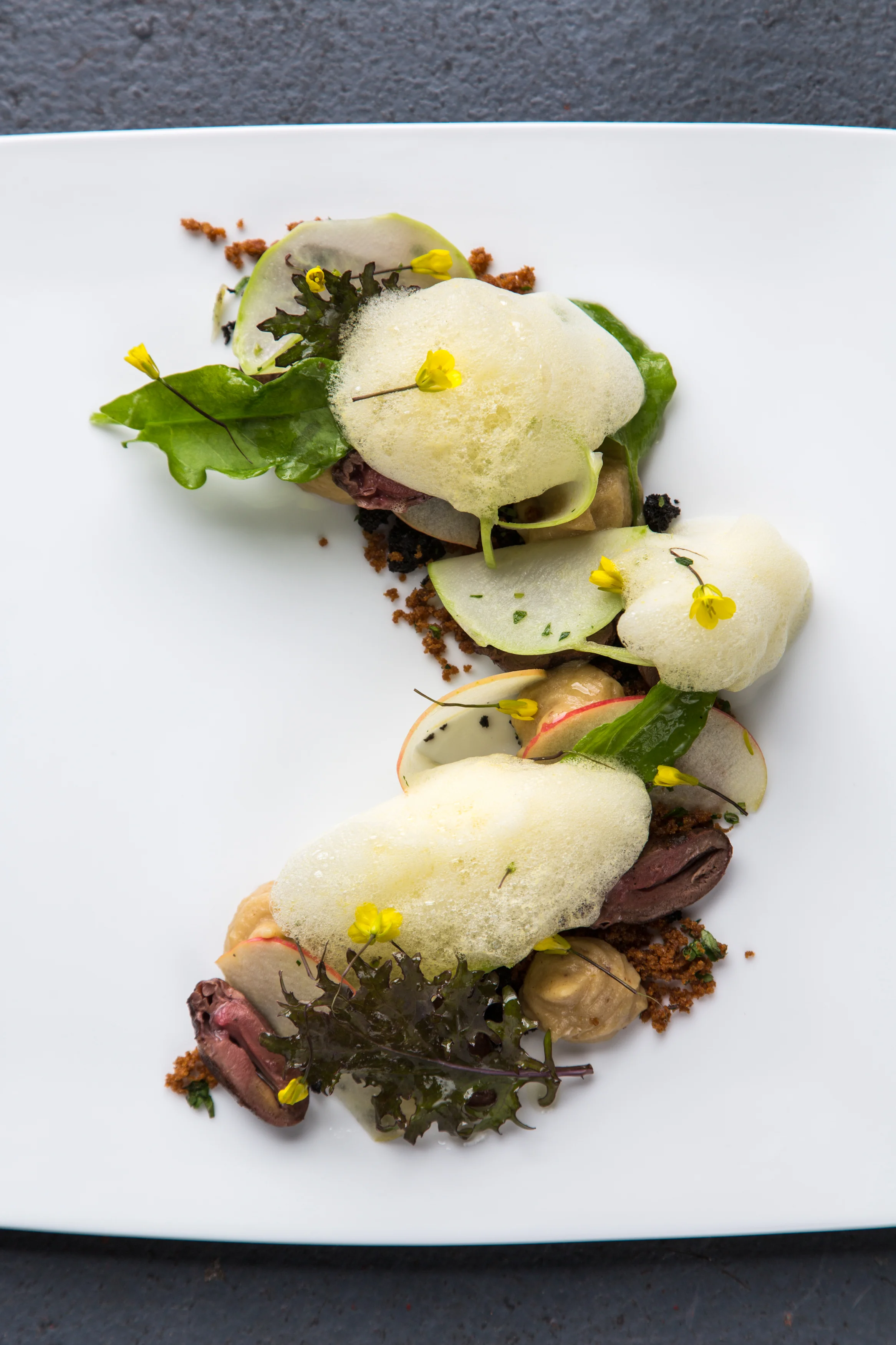 RootDec13_duck heart salad apple foam.jpg