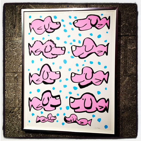 "Pink Puppyfish"
