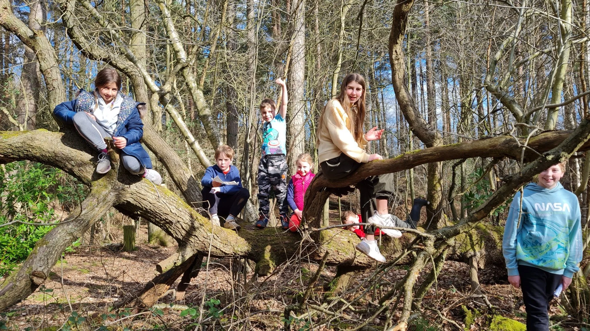 Home education group enjoying outdoor activities at Wild Pines Park