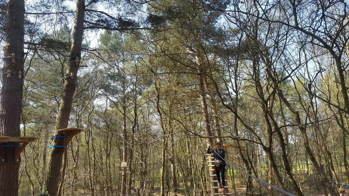20170409_132837.jpg
