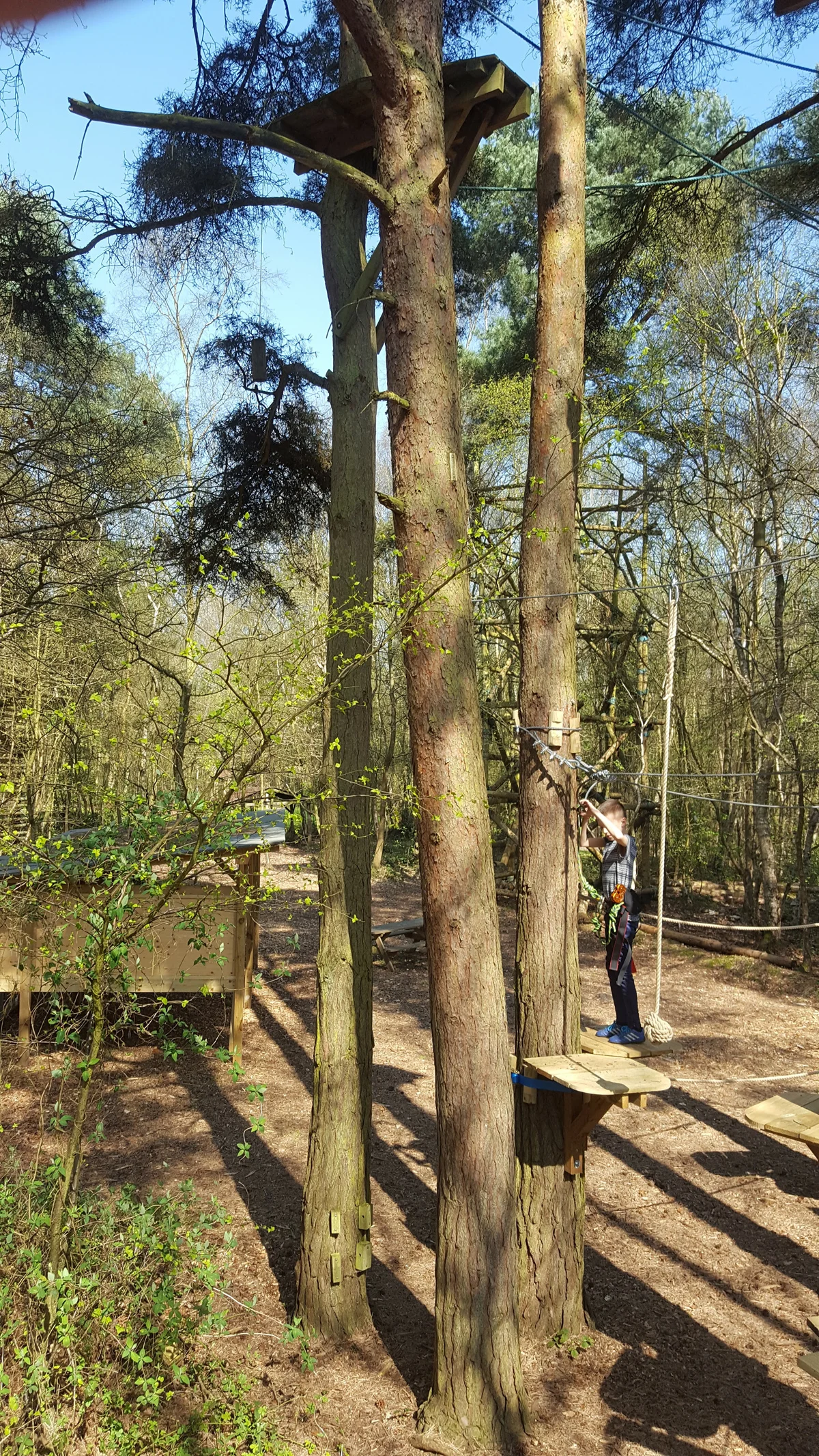 Wild Pines Park in pictures — Wild Pines | Ropes Course & Activity Centre