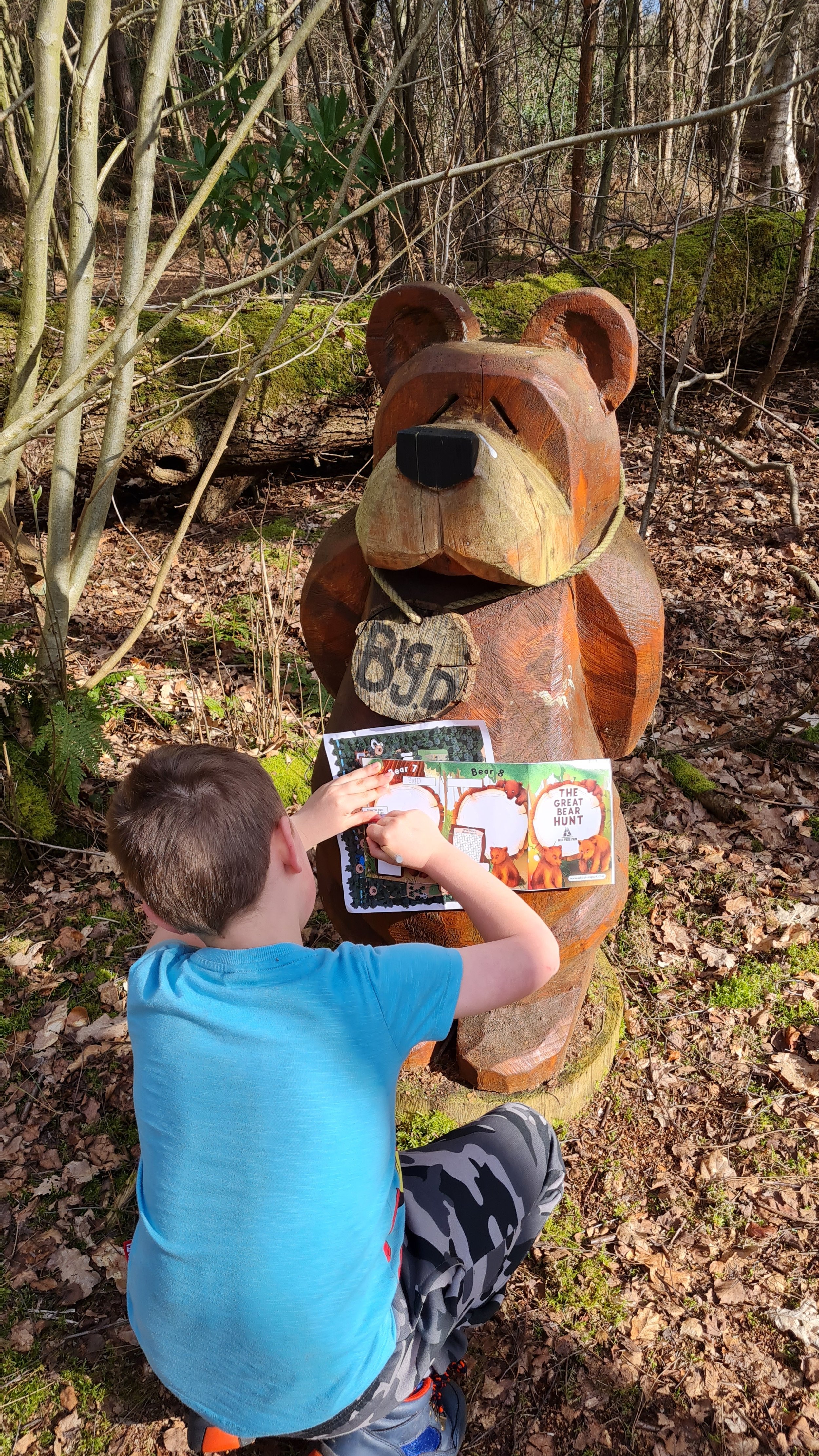 finishing the bear trail