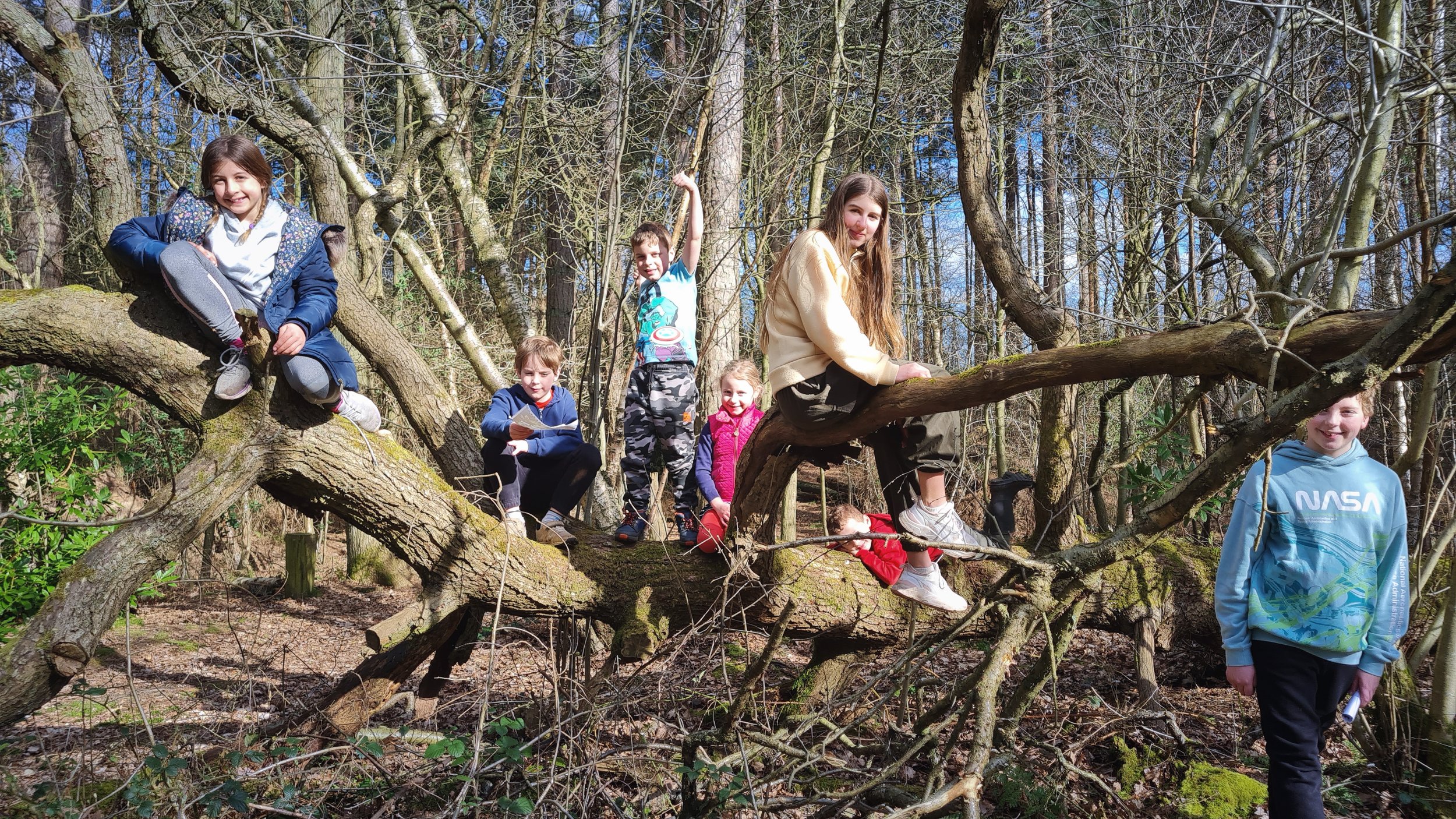 Large group of children in a tree after the bear hunt has finished