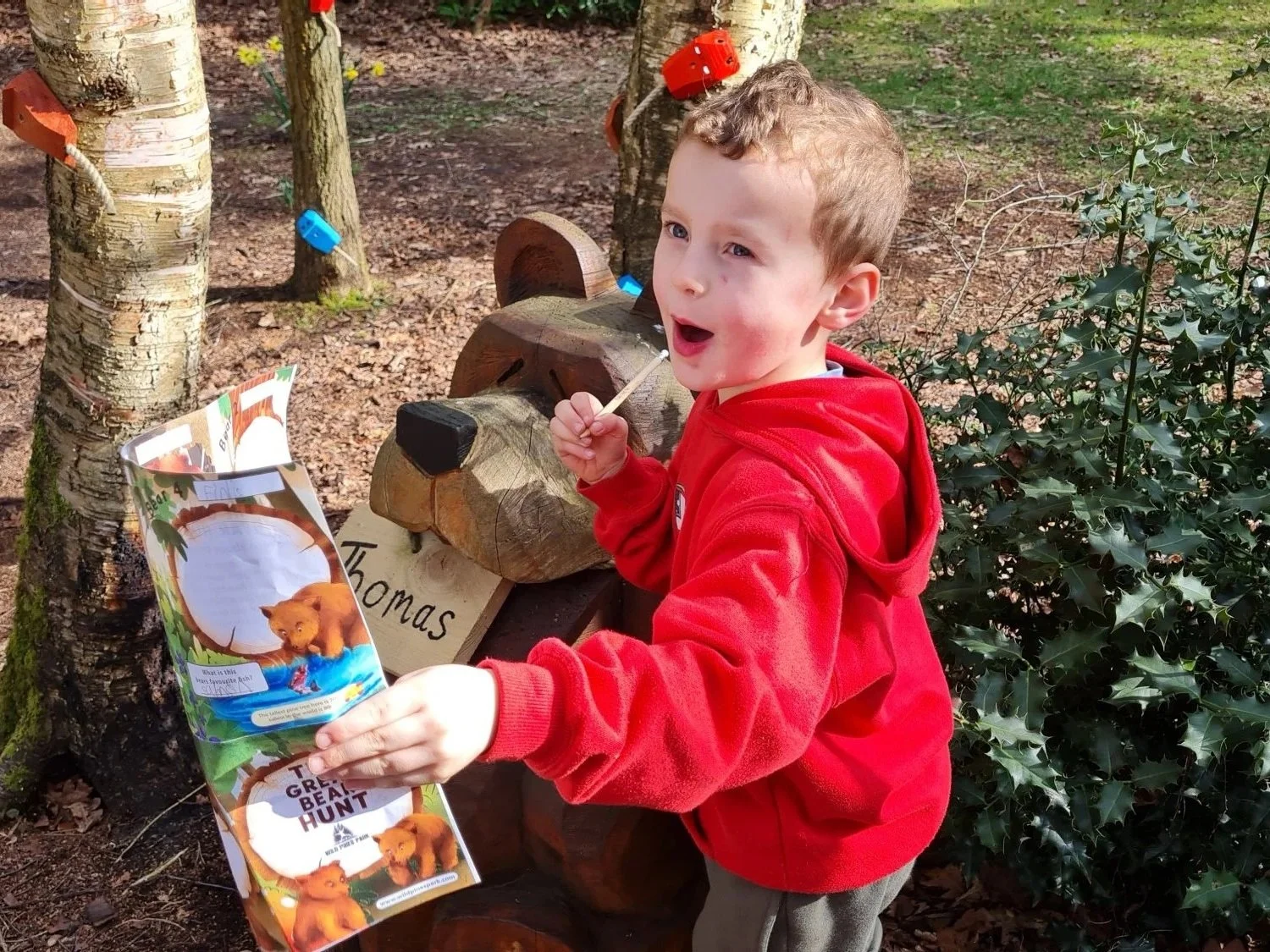 Children working together during a woodland challenge at Wild Pines Park