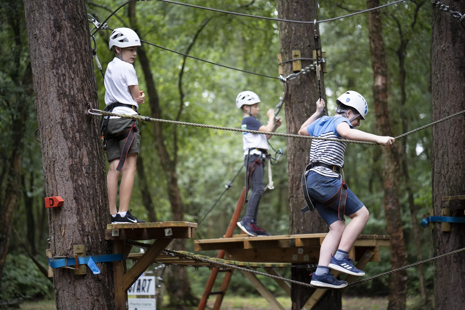 Mini Ropes Course Mini Ropes Courses for Children | Wild Pines Park | WILD PINES PARK
