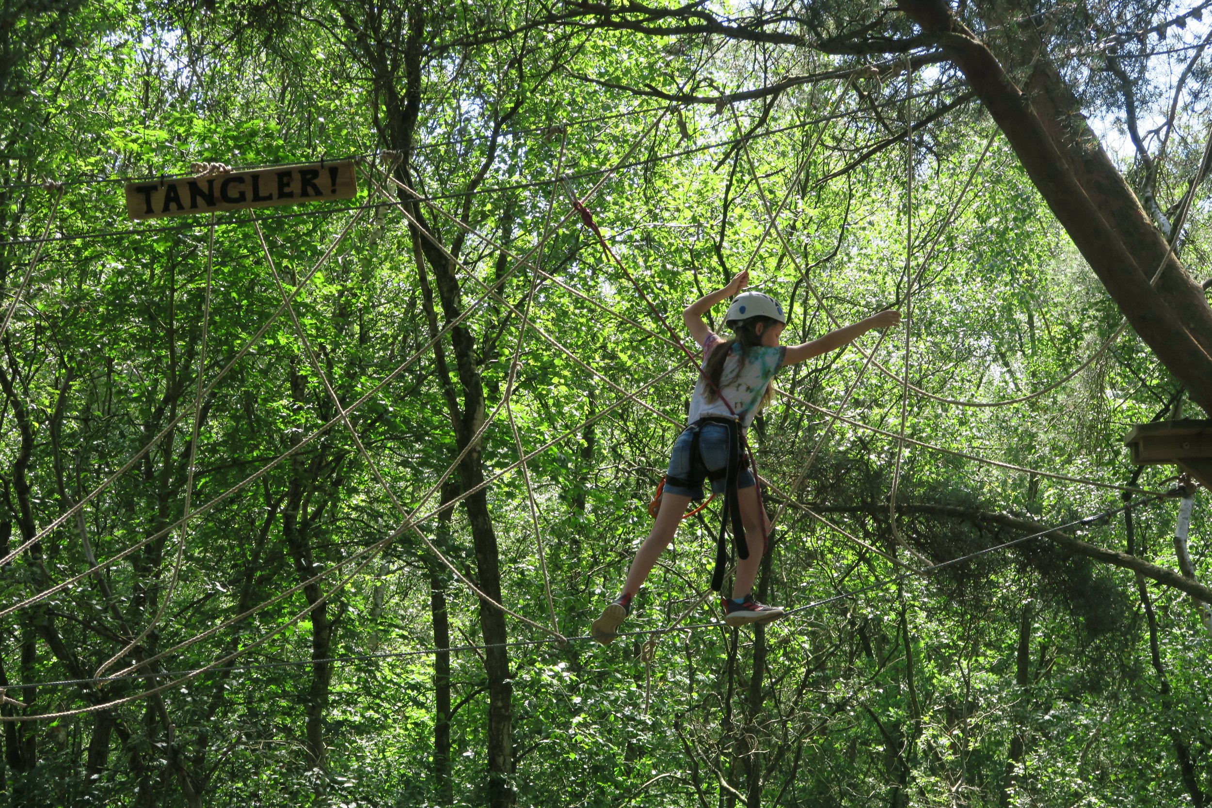 girl high in the trees