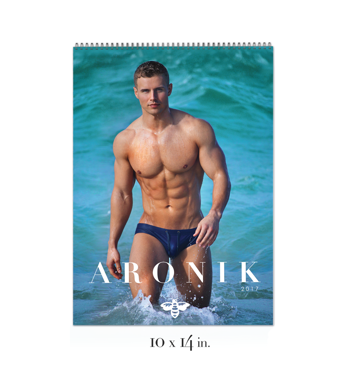 Aronik_2017-Wire-Calendar_FINAL_product-image.png