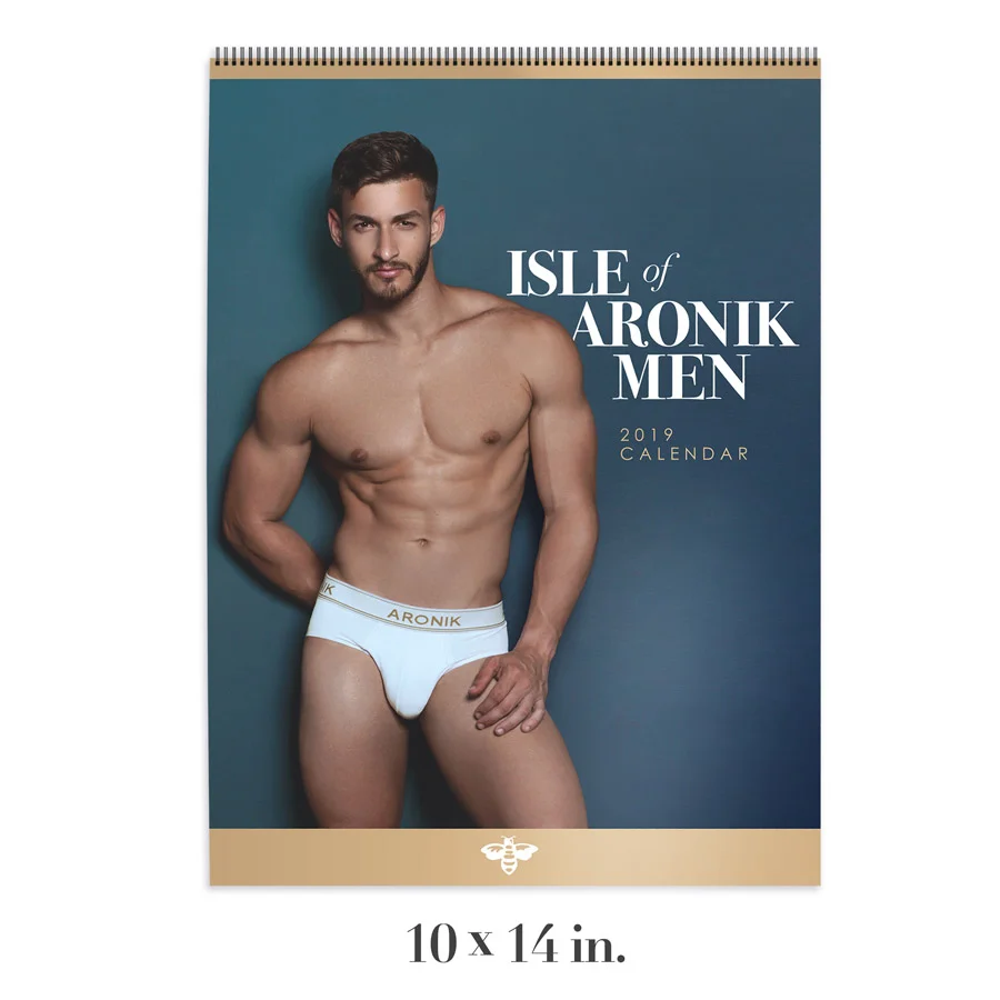 Aronik-Calendar-19-web_ad.jpg