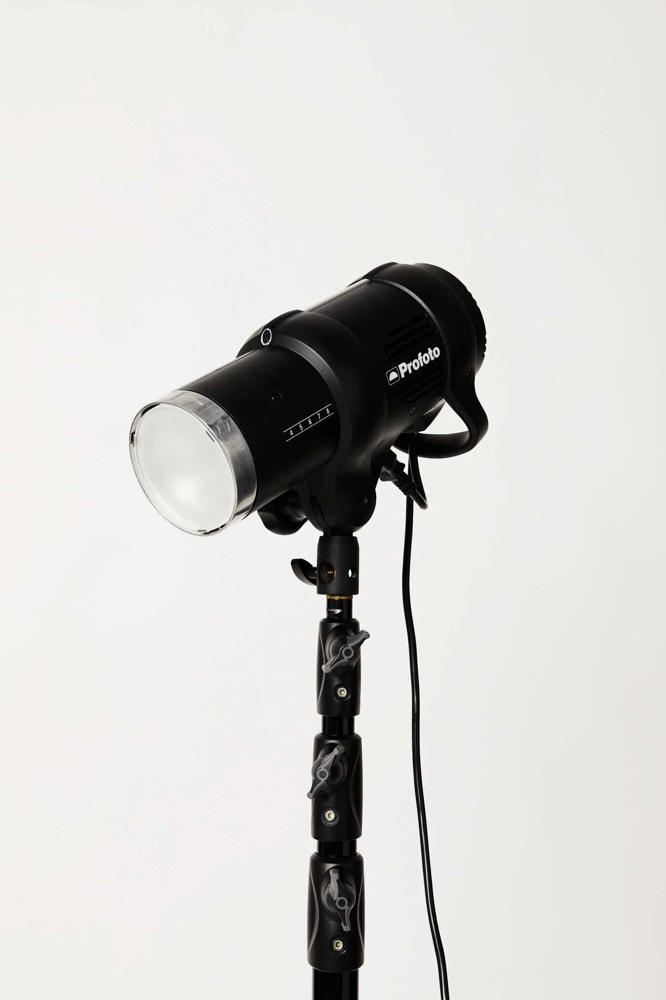 Profoto D1 500 Single Head Kit — Studio Tropico