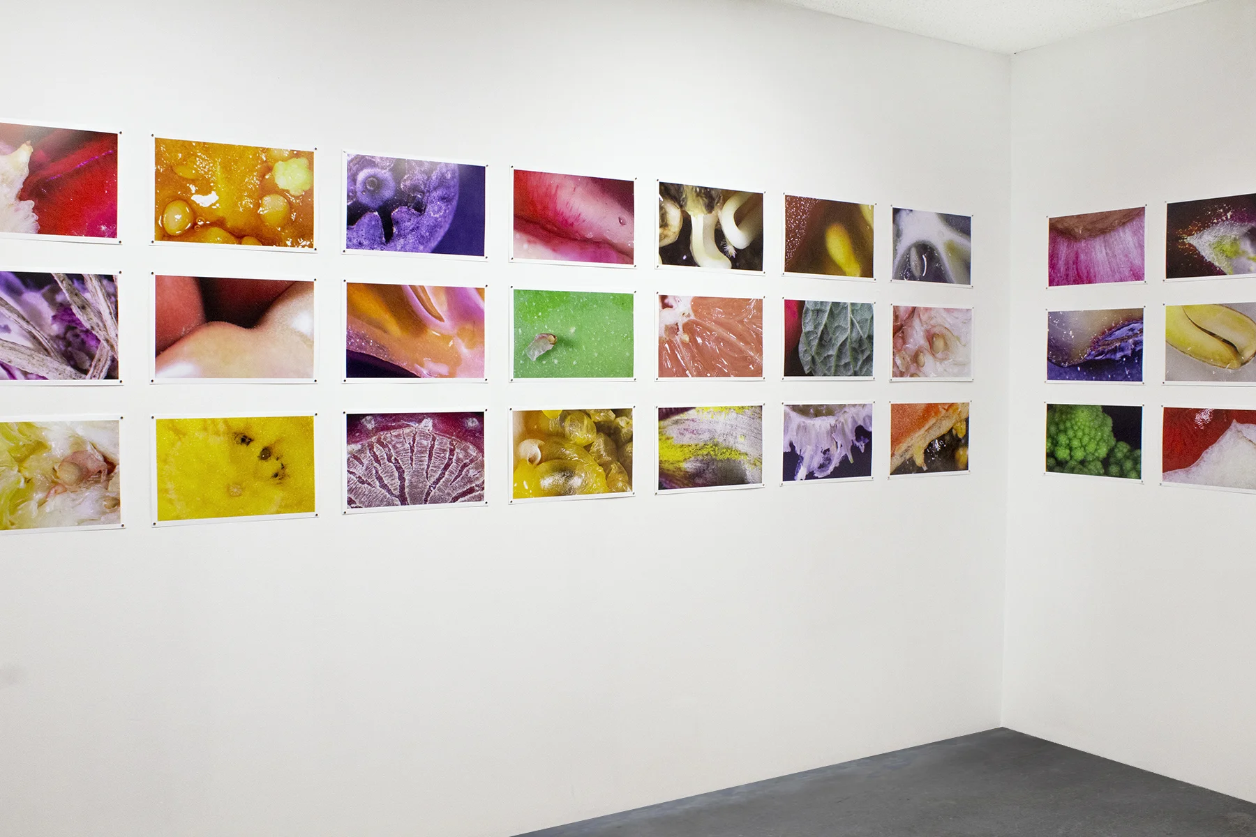 macro wall 2aa.jpg