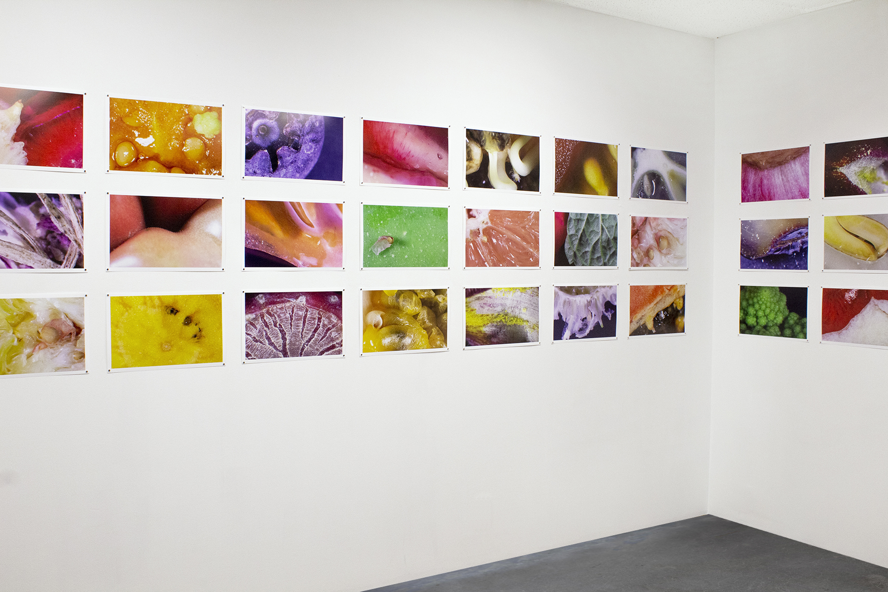 macro wall 2aa.jpg