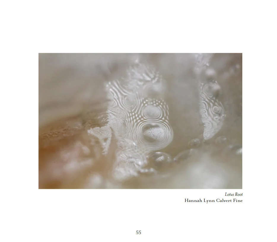 Sprung Formal Literary Arts Journal Issue 12 - XII