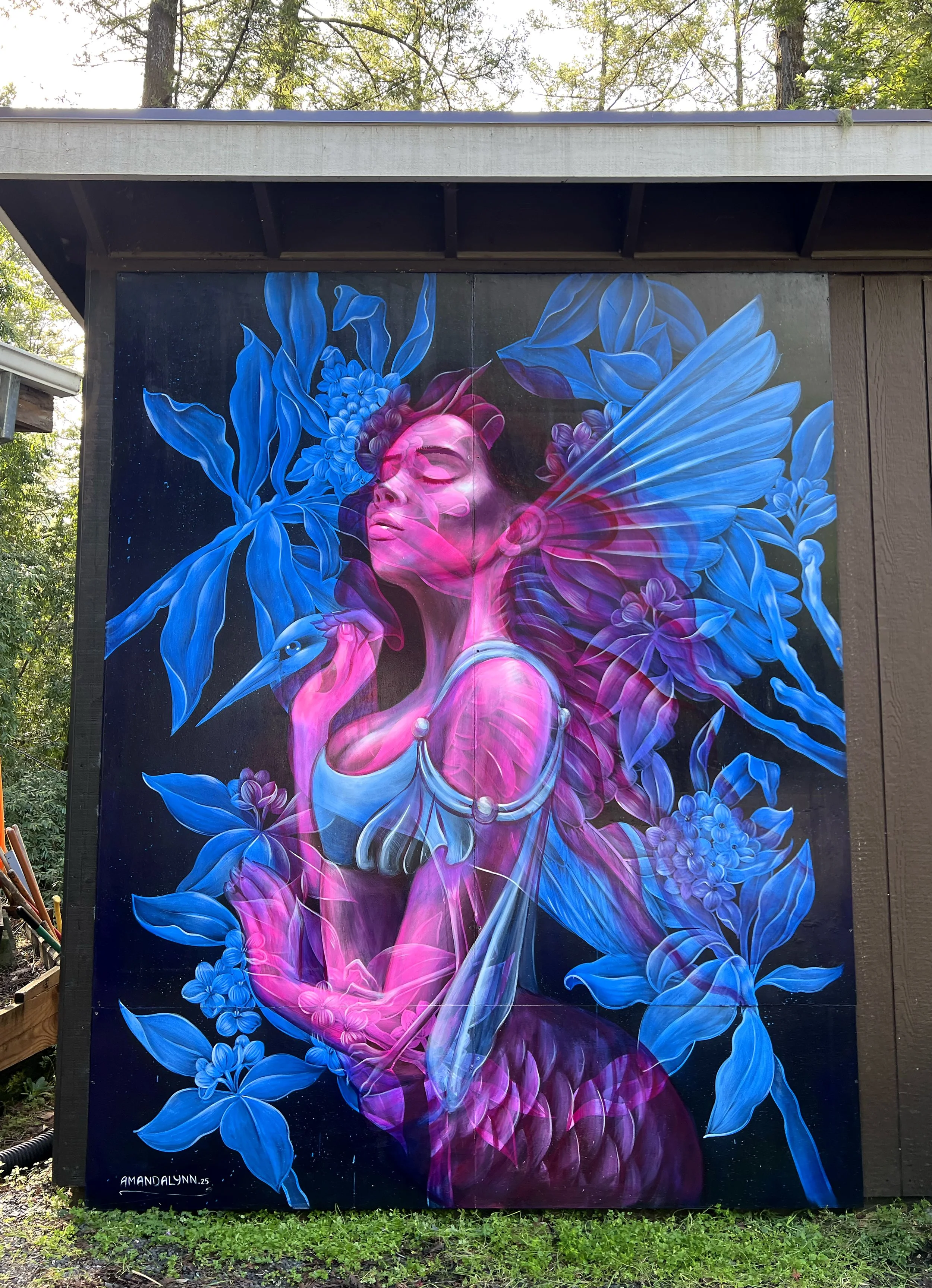 Elevate, Forestville, CA