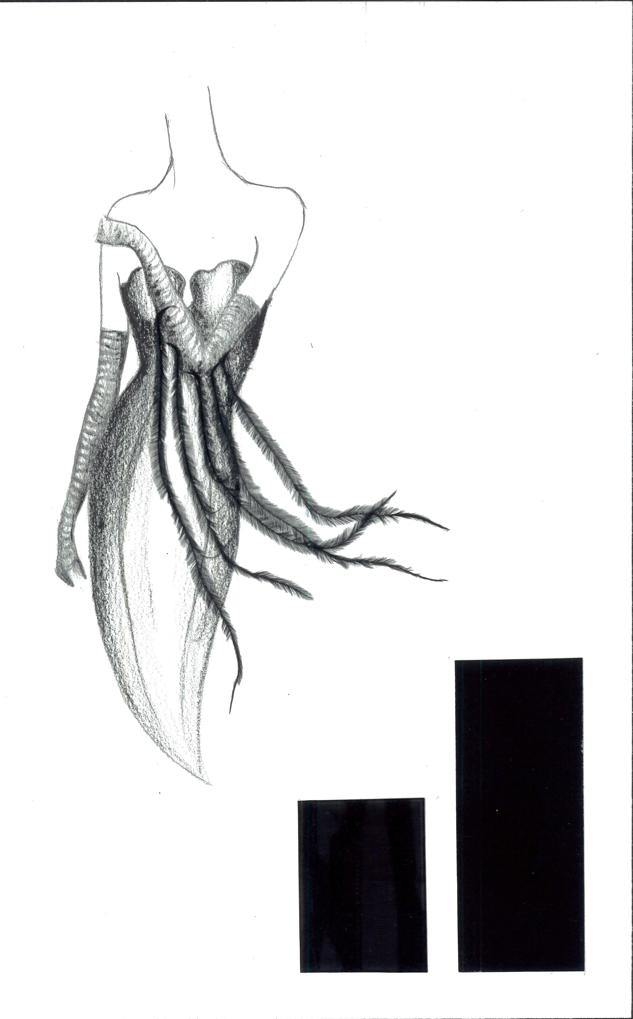 smock14.jpg