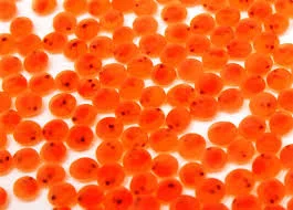 trouteggs.jpg