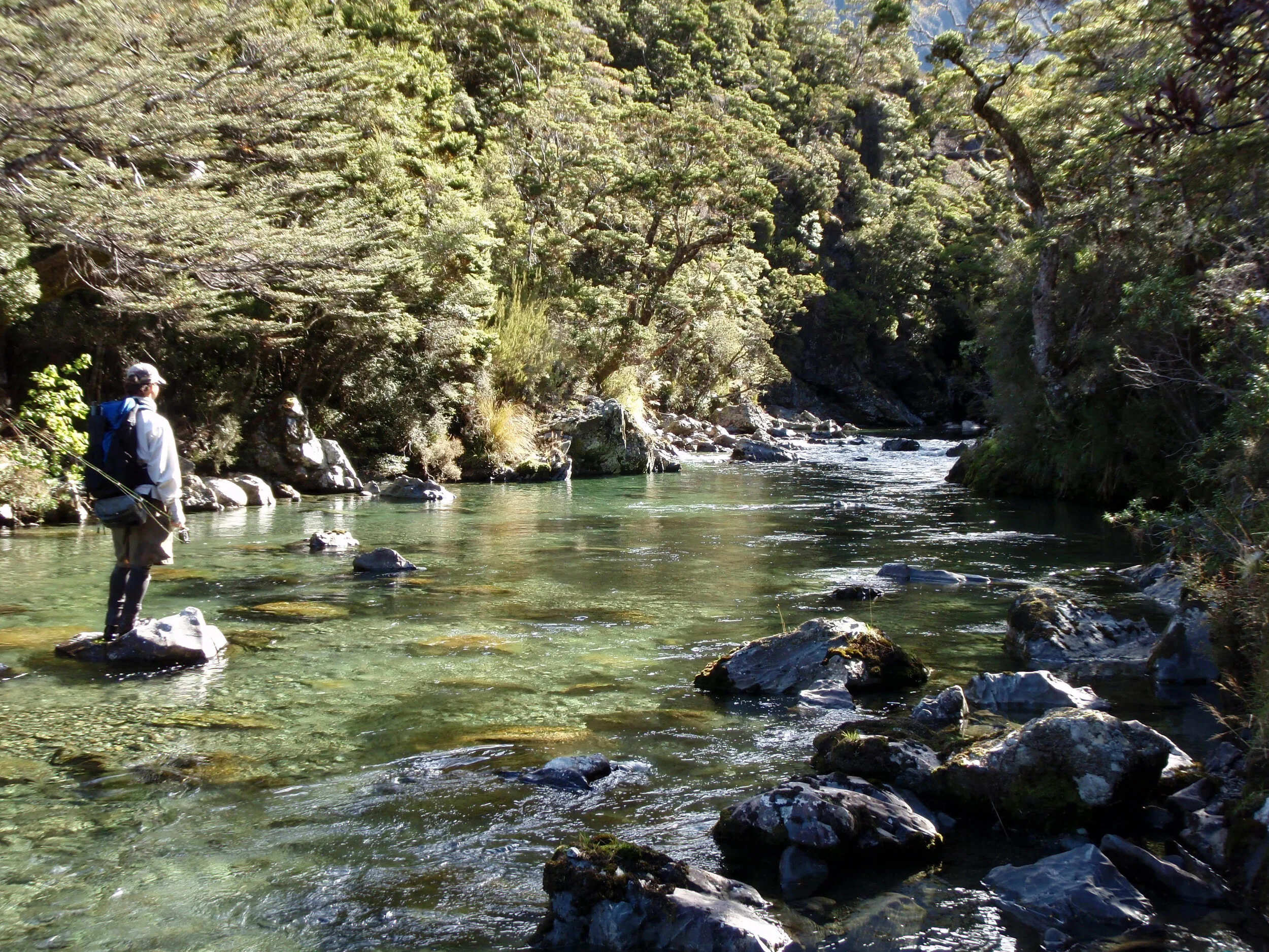 YEAR OF THE NOMAD ANGLER