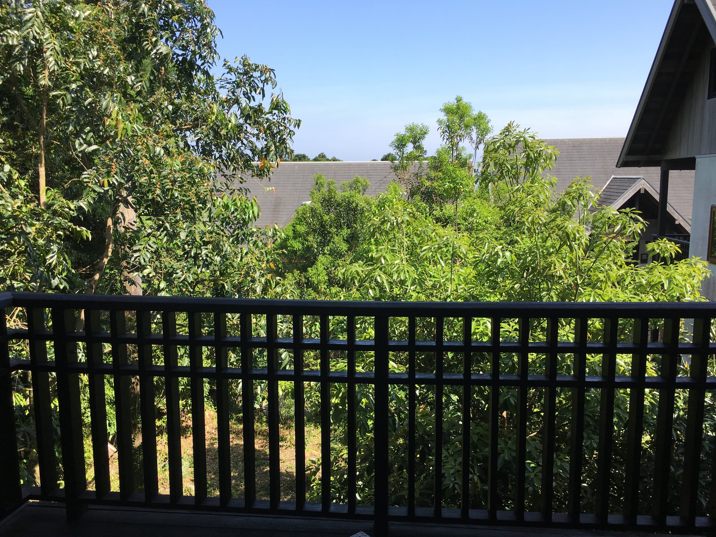 The view from our balcony