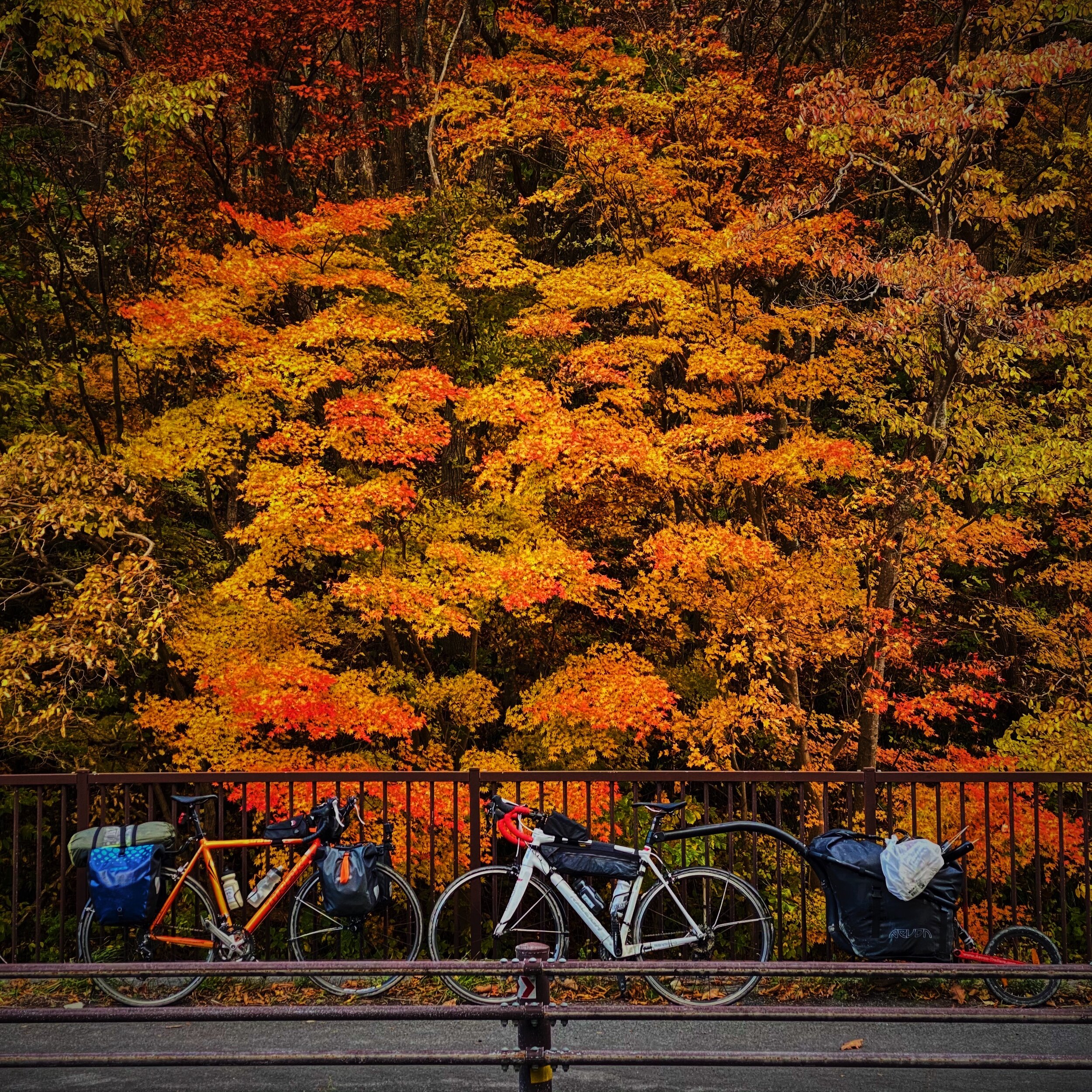 Length of Japan Cycling Tour - Part 1 of 3 