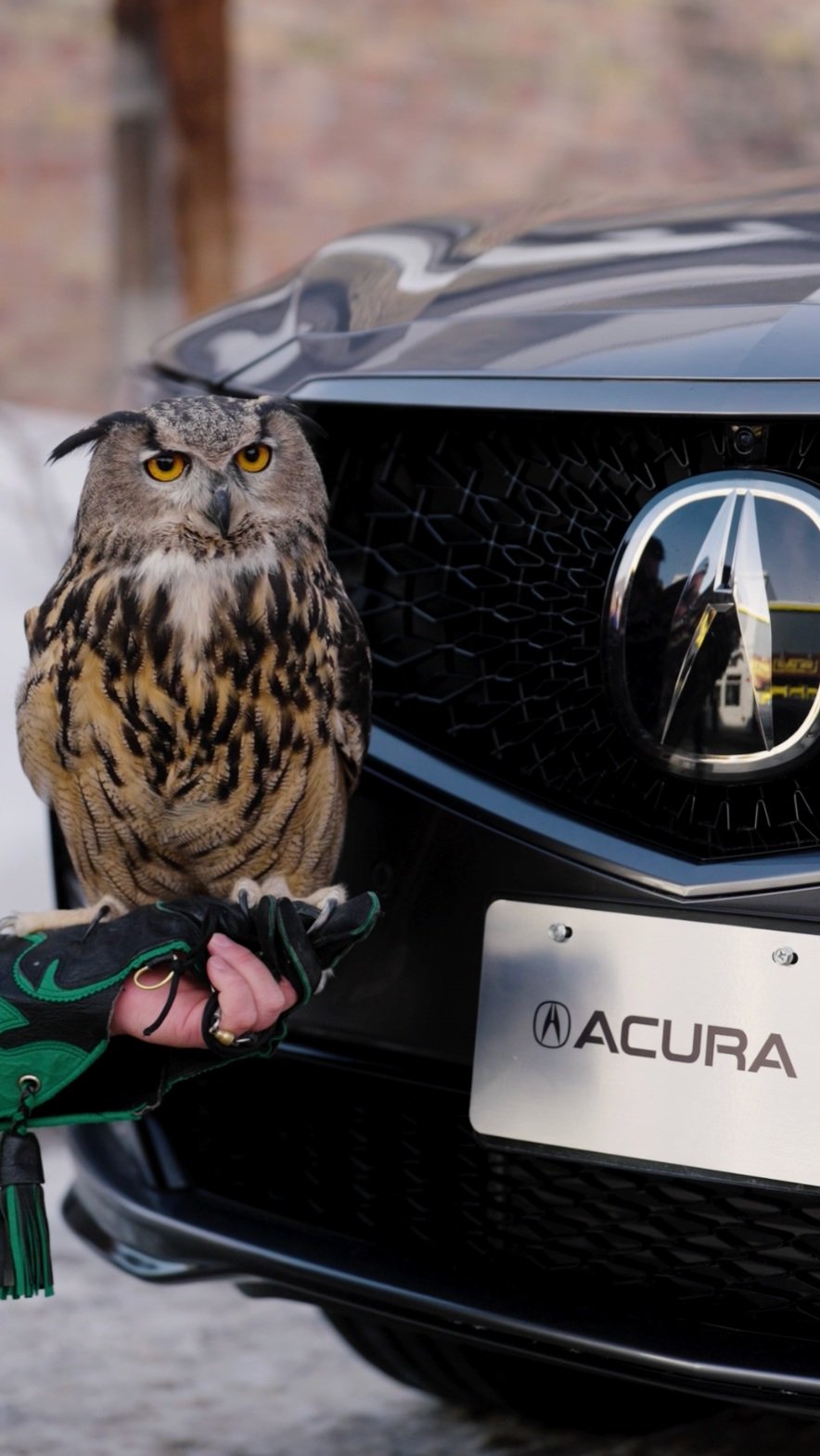 Acura Sundance Experiential 2024 Town