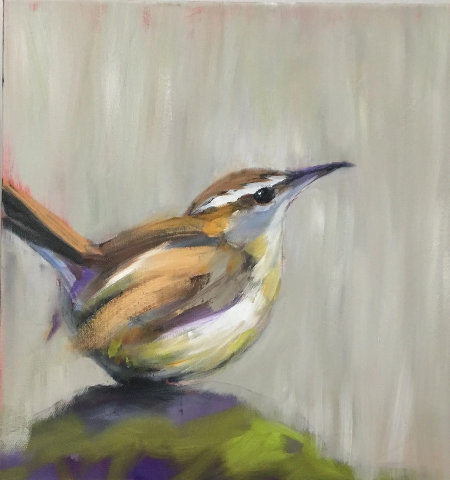 CAROLINA WREN, SOLD