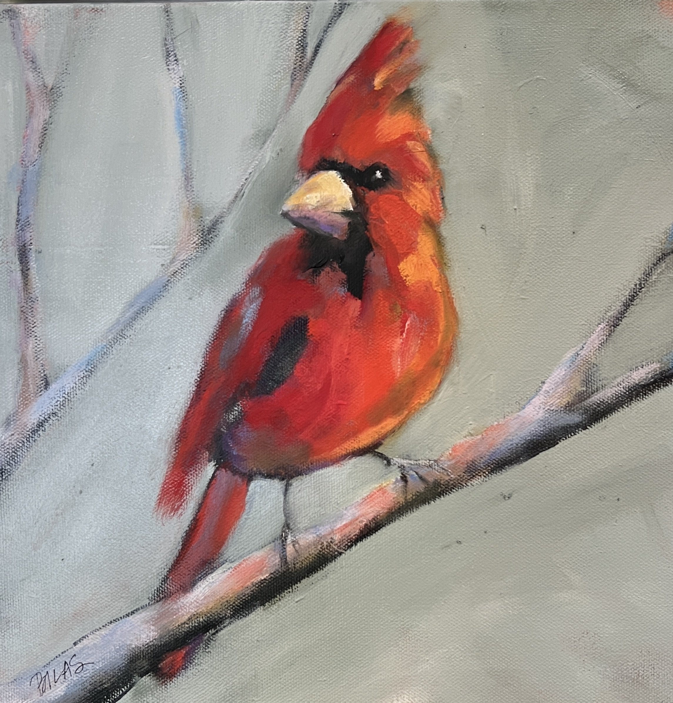 SPRING CARDINAL