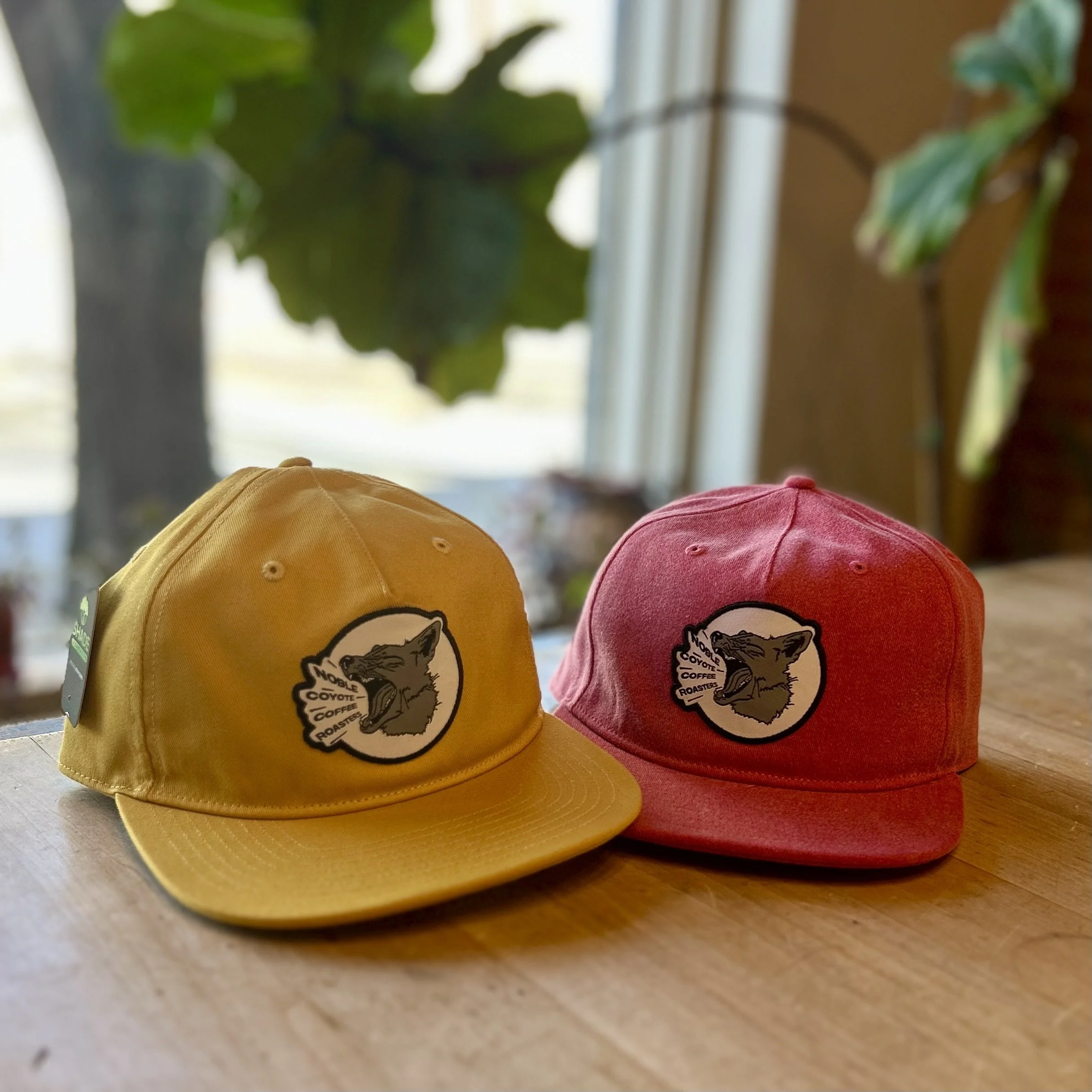 Noble Coyote Yelling Coyote Cap