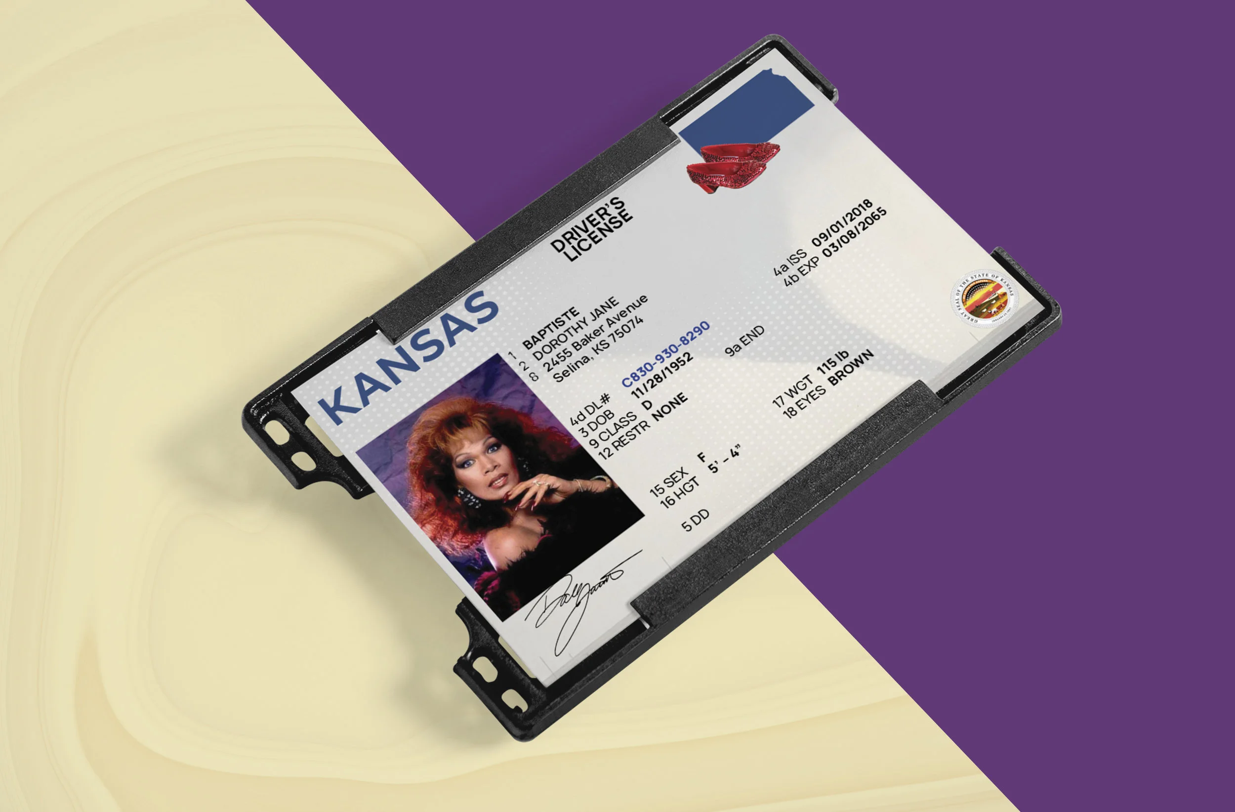 Kansas Mockup.jpg