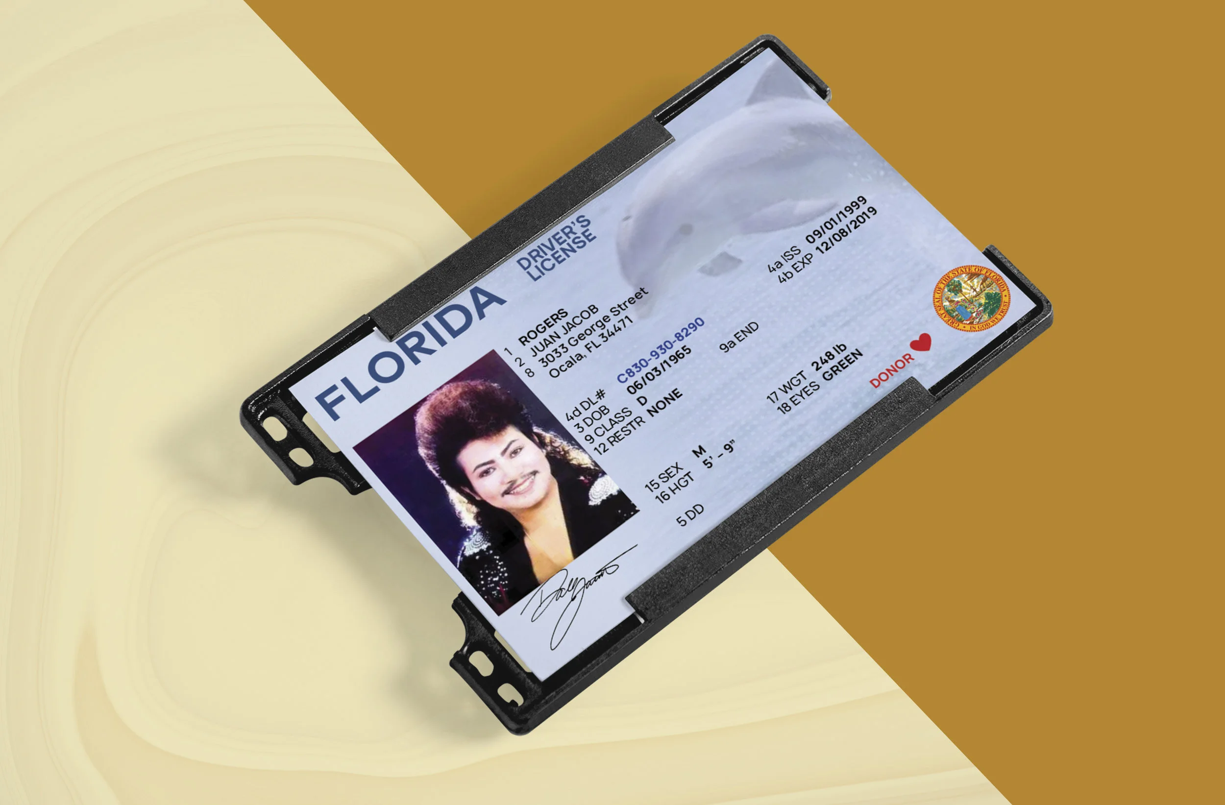 Florida Mockup.jpg