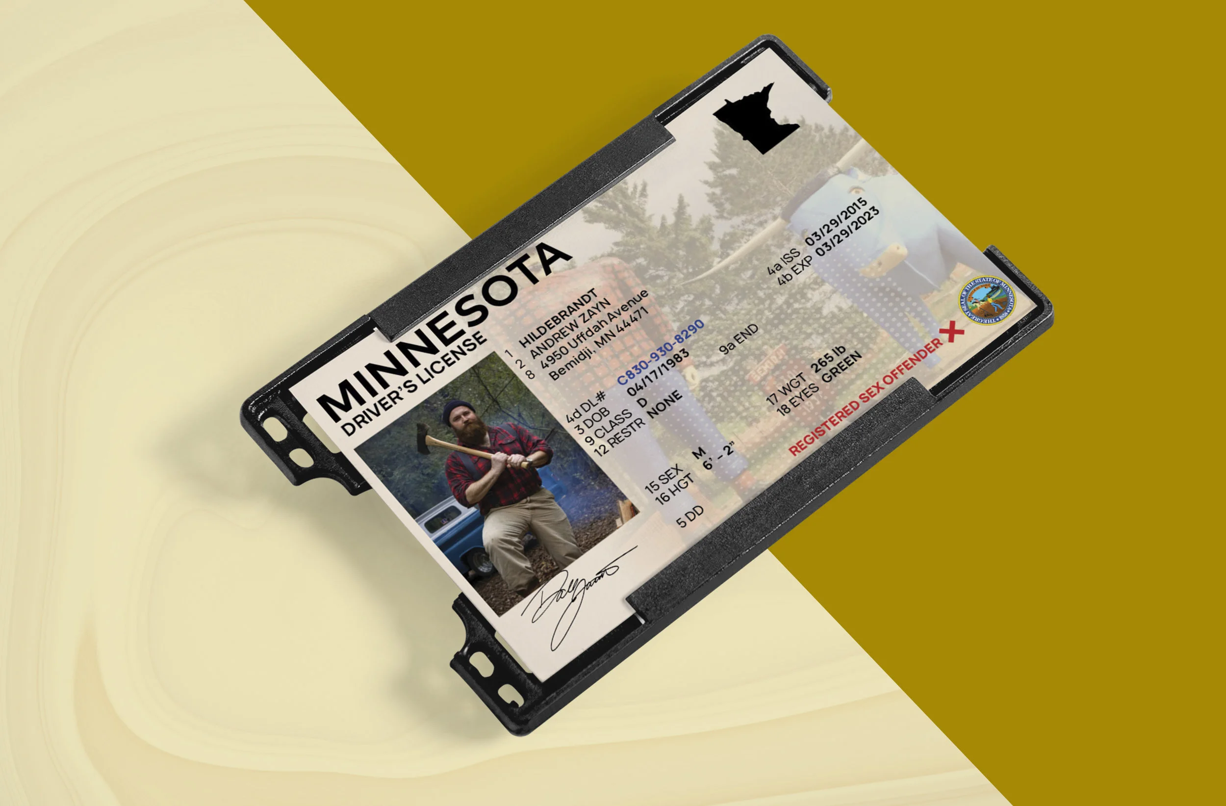 Minnesota Mockup.jpg