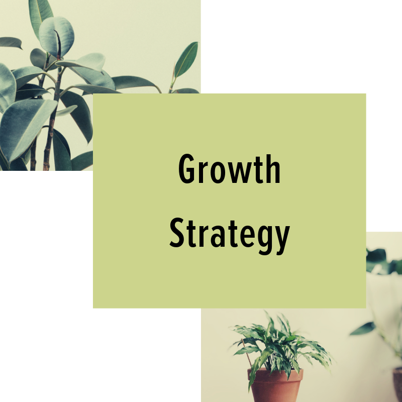 Growth Strategy