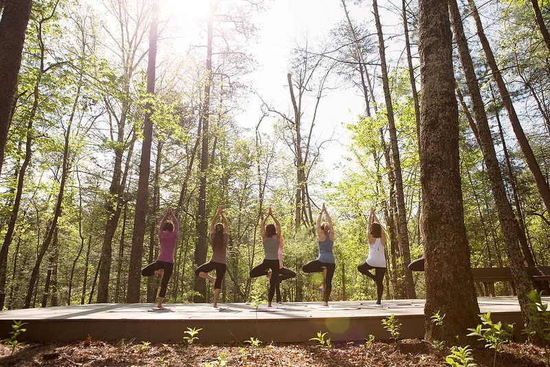 Yoga in the Park anybody - taking in the forest atmosphere