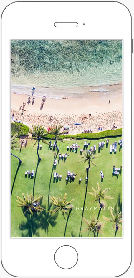 PALM TREES, KAUAI
