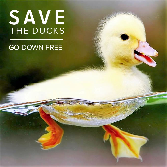 save-the-ducks-go-down-free.jpg