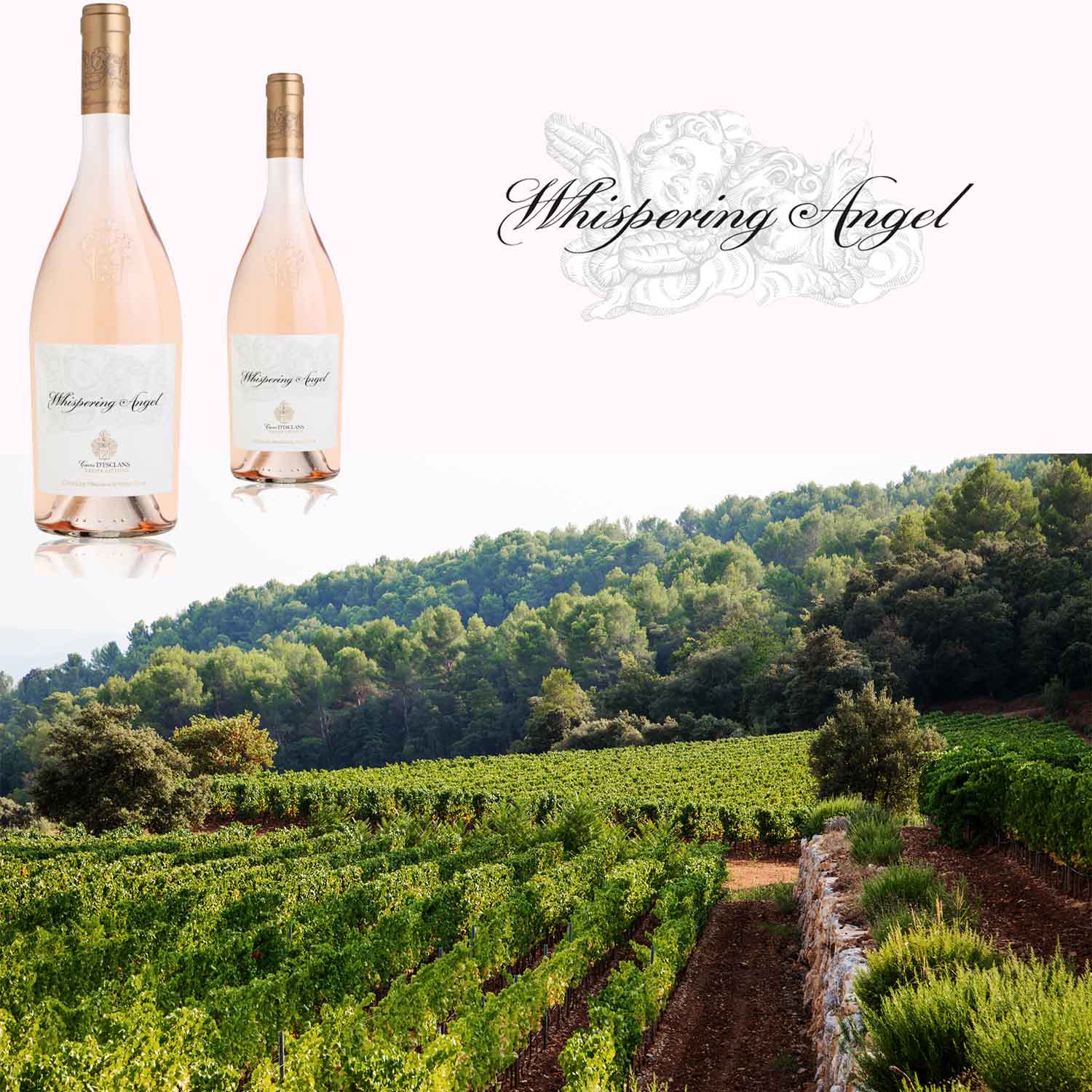 Whispering Angel Rosé Review — MAYBE.YES.NO Best Product Reviews