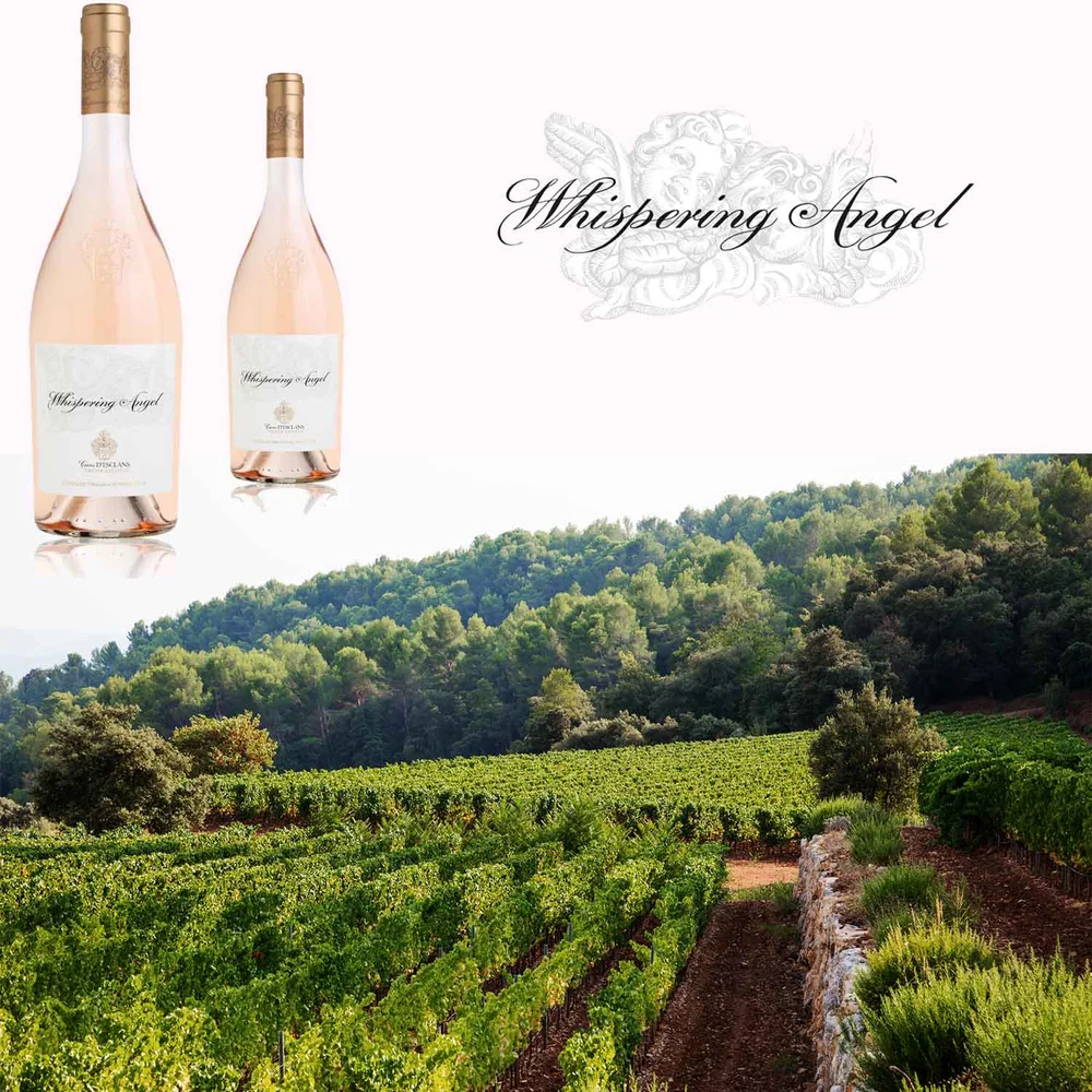 Whispering Angel Rose Review Maybe Yes No Best Reviews