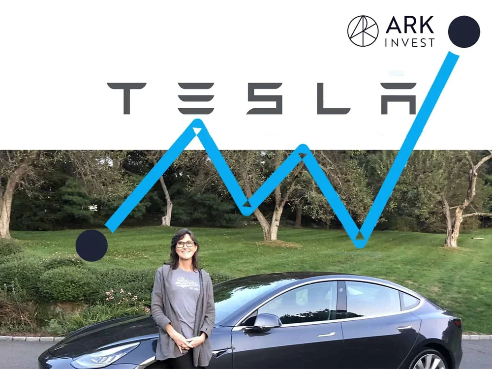 Ark Invest Buys 71 Million In Tesla On The Dip And Makes The Case It S A Buy Maybe Yes No Best Reviews Ark Invest Buys 71 Million In Tesla On The Dip And Makes The Case It S A Buy Maybe Yes No Best Reviews