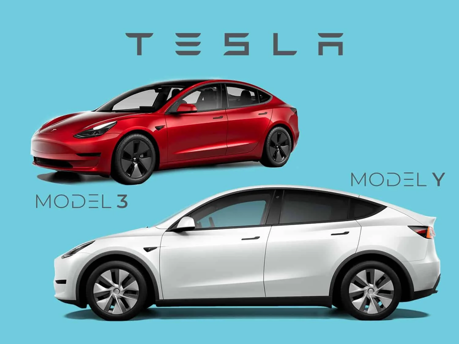 Model 3 Vs Model Y At Abigail Schardt Blog