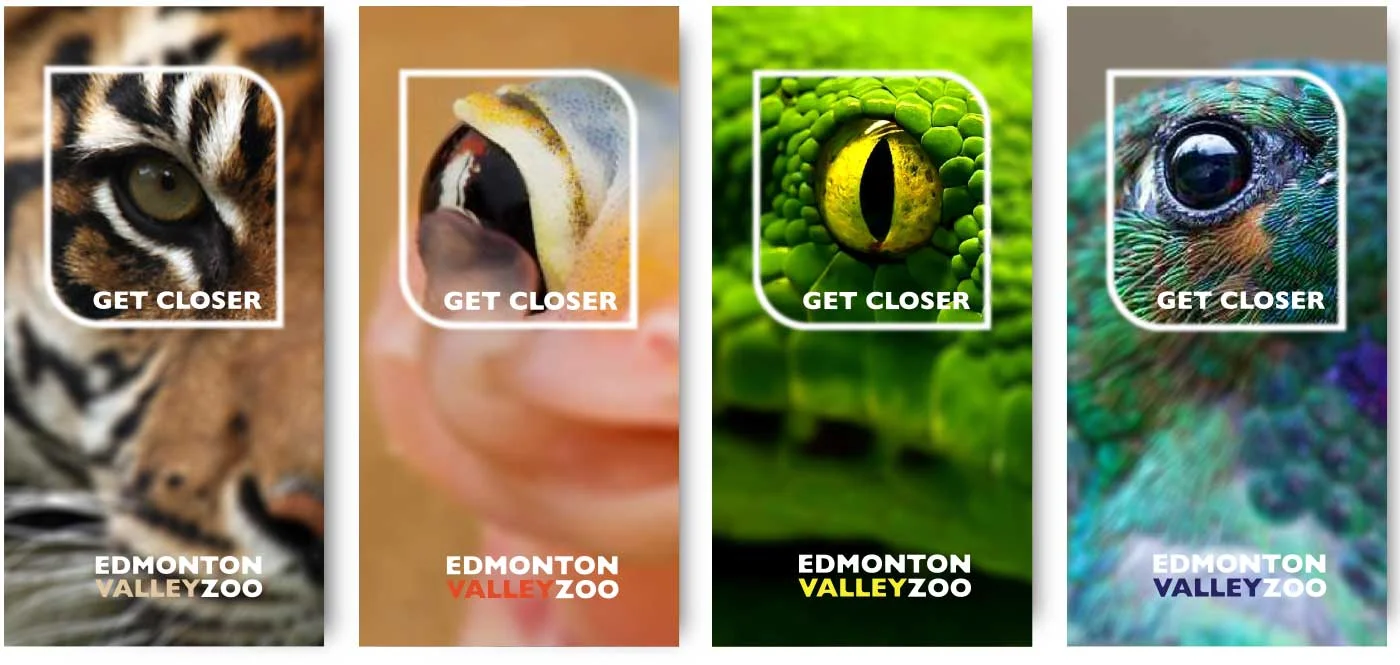 zoointro.jpg