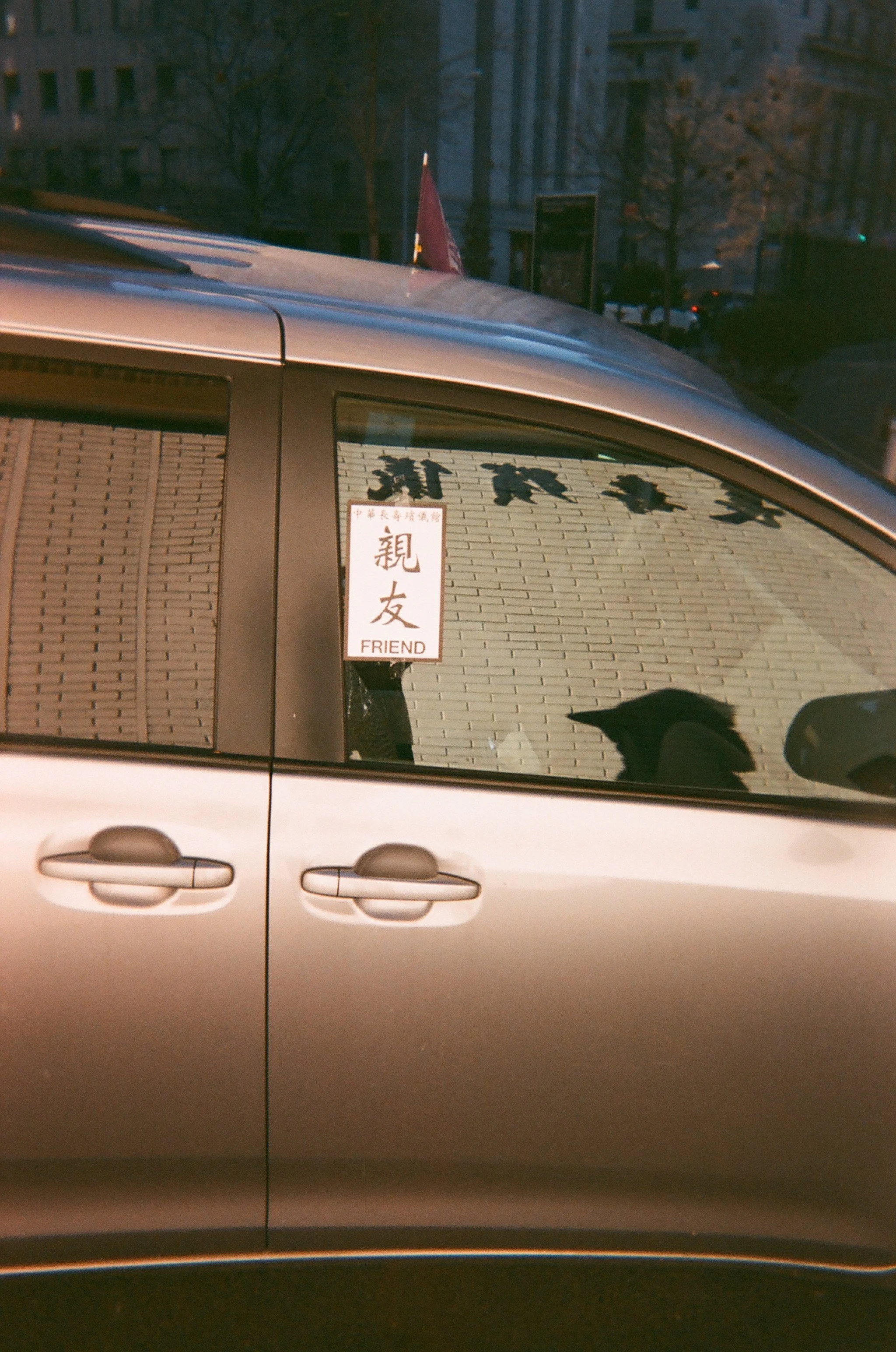 20100012.JPG
